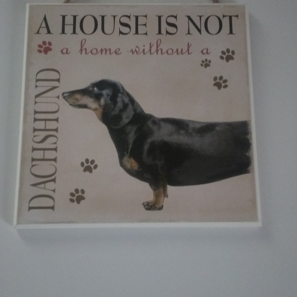 Puppy Pictures - Picture 7 of 8